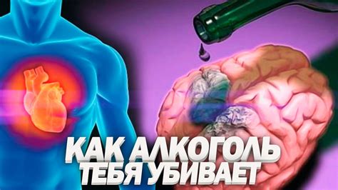 Влияние алкоголя на организм: погружение в сферу воздействия