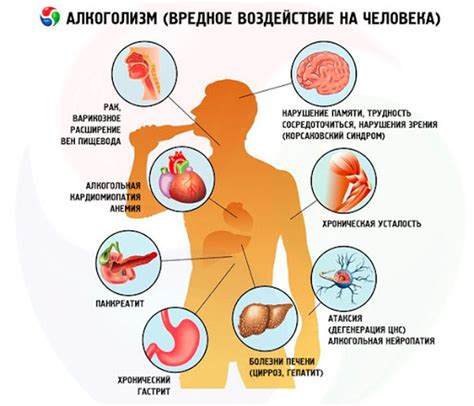 Влияние алкоголя на организм: причины похмелья и перегара