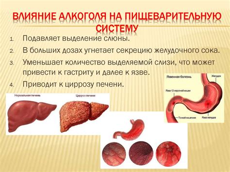 Влияние алкоголя на работу пищеварительной системы и причины возникновения тошноты