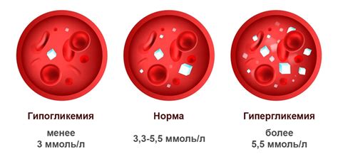 Влияние апидры на уровень глюкозы в крови