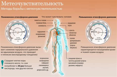 Влияние артериального и манометрического давления на организм