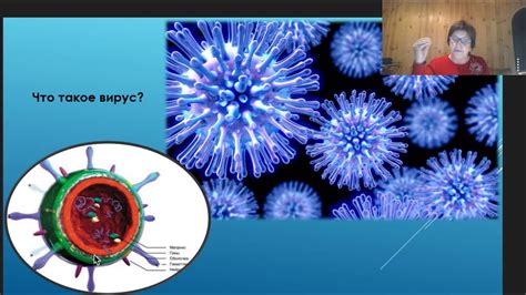 Влияние вирусных инфекций на организм: признаки и последствия