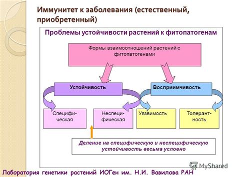 Влияние внешних факторов на оттенок выделений