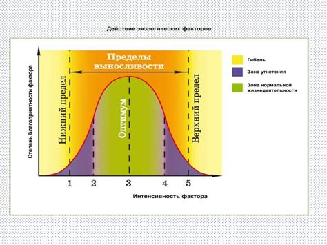 Влияние генетической природы на эффективность реакции организма