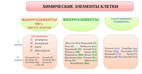 Влияние дефицита витаминов и микроэлементов на предпочтение мучных продуктов