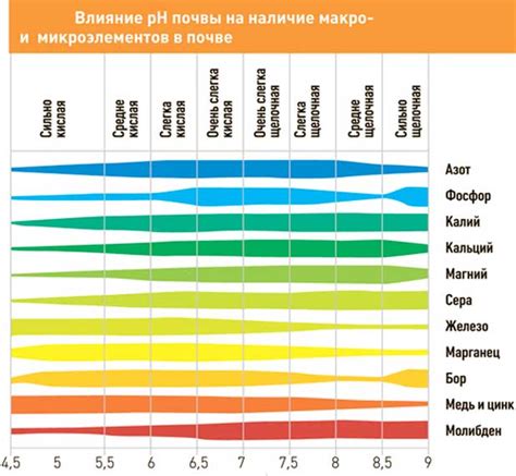 Влияние дисбаланса питательных веществ на характеристики почвы