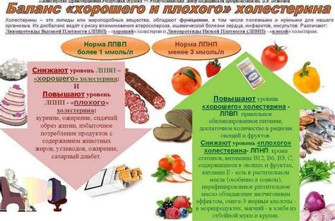 Влияние добавок на фарш и его вкус: исследование сути