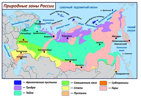 Влияние зон климата на мир растений и животных