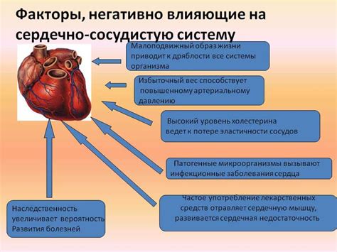 Влияние клофелина на функционирование сердечно-сосудистой системы