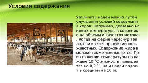 Влияние комфортных условий содержания на продуктивность птицы