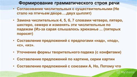 Влияние лингвистического основания на формирование числительных