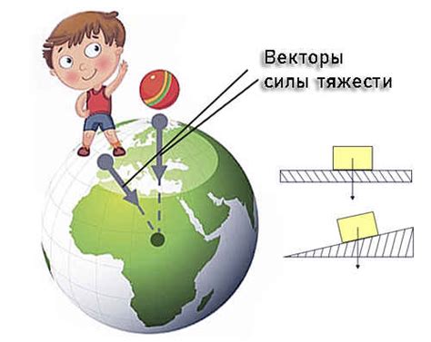 Влияние направленности векторных величин на их физическую природу