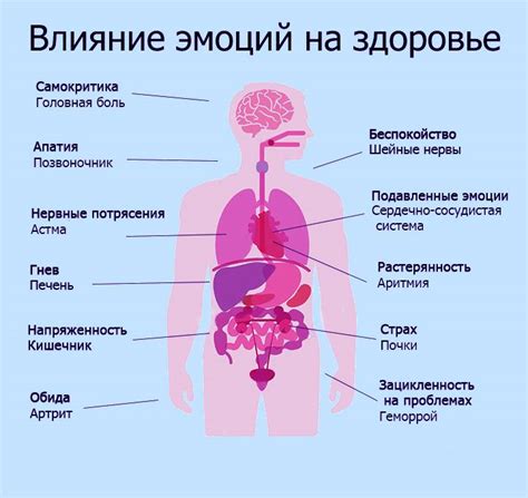 Влияние на здоровье и организм: благотворный эффект на органы и общее состояние