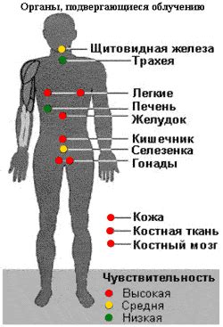 Влияние на организм в целом