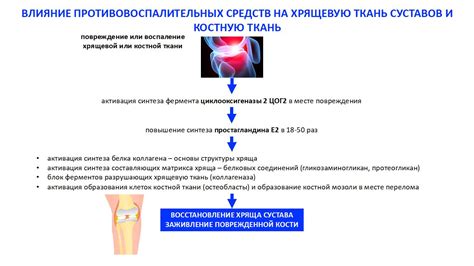 Влияние нестероидных противовоспалительных препаратов на организм