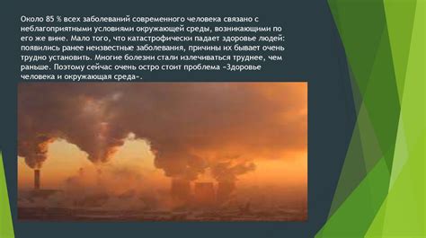 Влияние окружающей среды: место схватки собак как ключ к толкованию сновидения