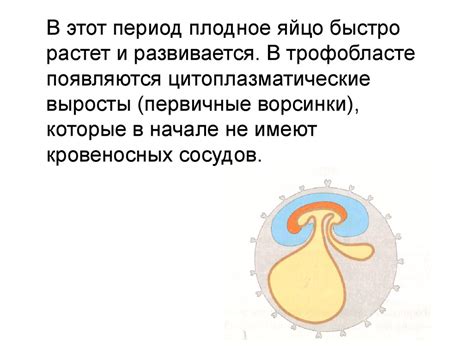 Влияние окружающей среды на развитие плода в ранний период беременности