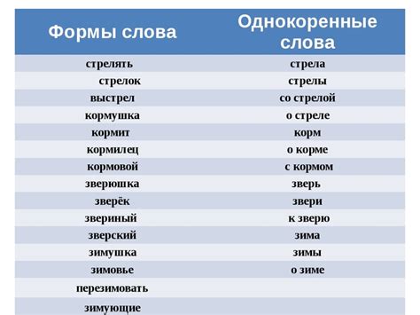 Влияние основы на формы слова в русском языке