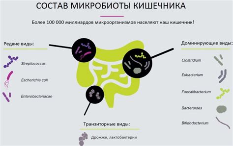 Влияние отсутствия роста микробиоты на здоровье