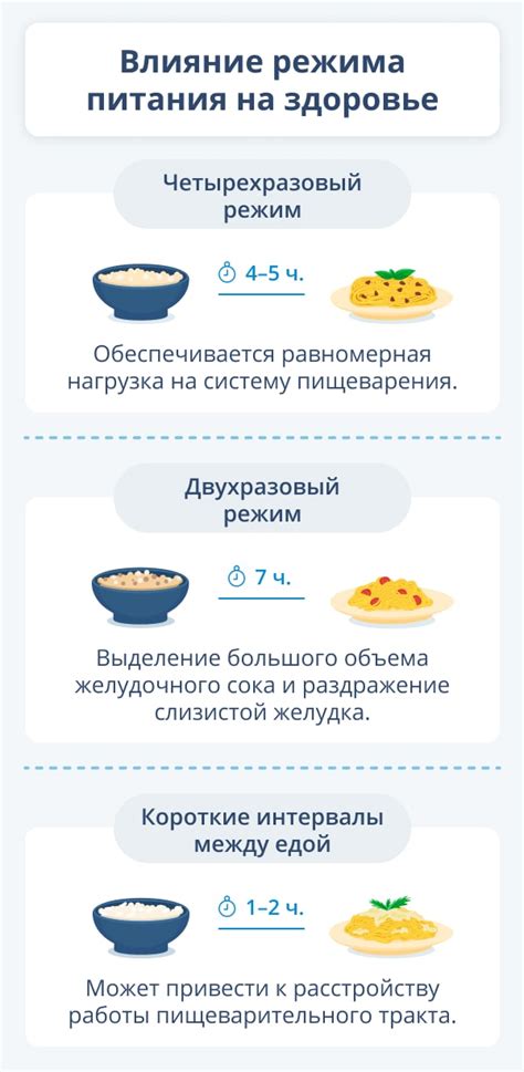 Влияние правильного питания на здоровье нервной системы: какие продукты важно употреблять