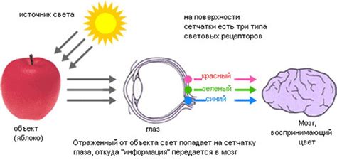 Влияние природного освещения на восприятие цвета