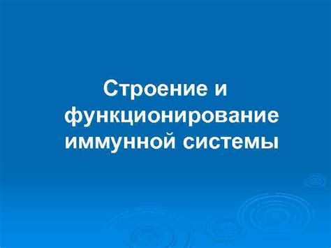 Влияние противомикробных препаратов на функционирование иммунной системы