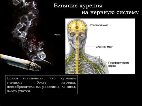 Влияние пустырниковых капель на нервную систему и эмоциональное состояние