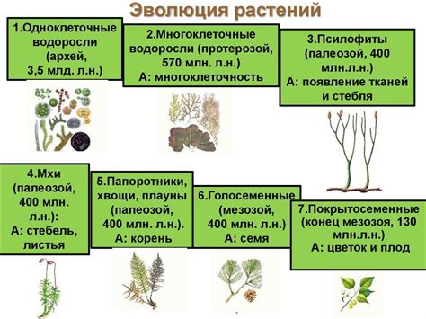 Влияние различных факторов на процесс развития растений в игровом мире