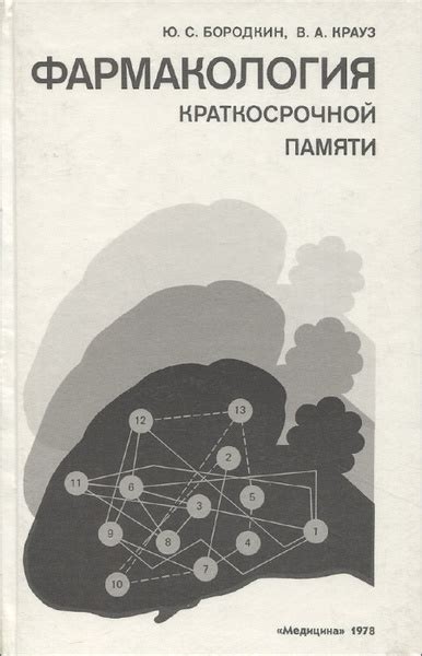 Влияние различных факторов на формирование нашей краткосрочной памяти