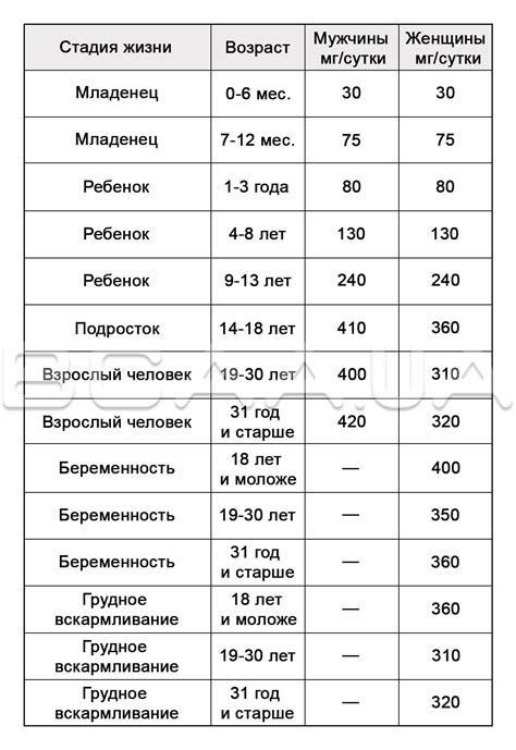 Влияние рациона питания на уровень магния в организме