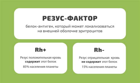 Влияние резус-конфликта на организм: анализ и последствия