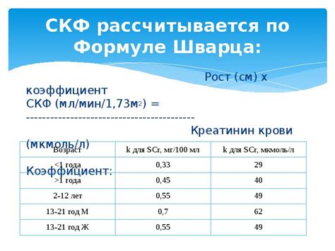 Влияние скорости клубочковой фильтрации на здоровье и функциональность организма