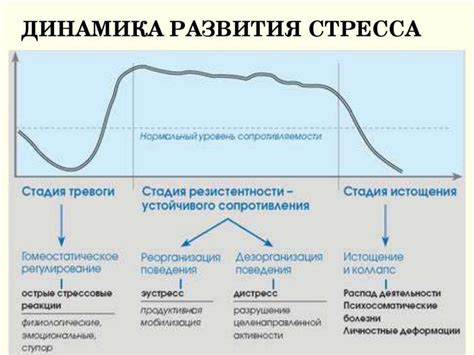 Влияние стресса на скорость реакции организма