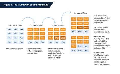 Влияние технологий TRIM и Garbage Collection на управление свободным пространством на SSD