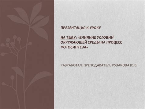 Влияние условий окружающей среды на процесс сушки лука