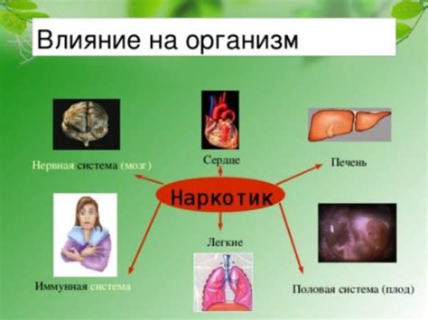 Влияние факторов на процесс выведения вещества из организма