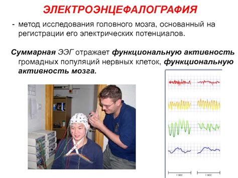 Влияние физической активности на функциональную активность головного мозга