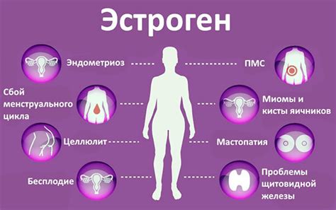 Влияние эстрогена на скорость физического развития у представительниц прекрасного пола: плюсы и возможные негативные последствия