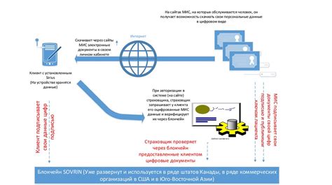 Внесение личных данных и верификация их достоверности