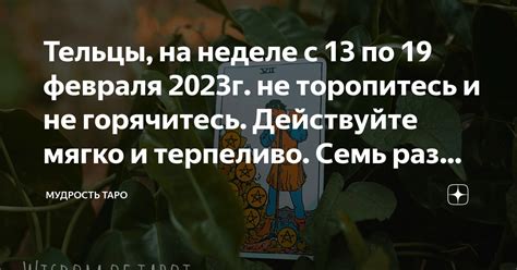 Внимательное следение и терпение: не торопитесь и обратите внимание на прогресс