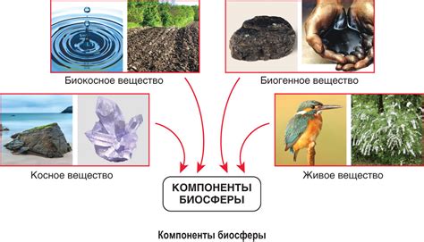 Вода как основной компонент в увлажнителе атмосферы