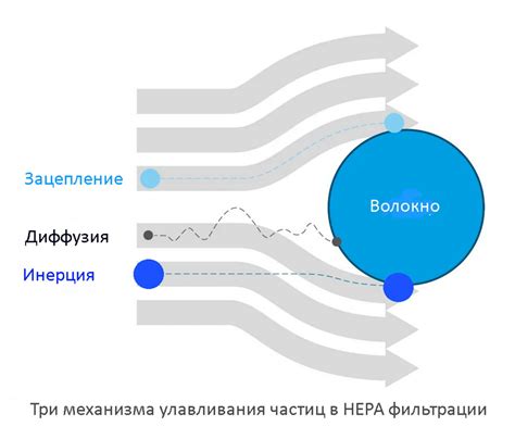 Возвращение и фиксация отсеянных частиц в системе фильтрации