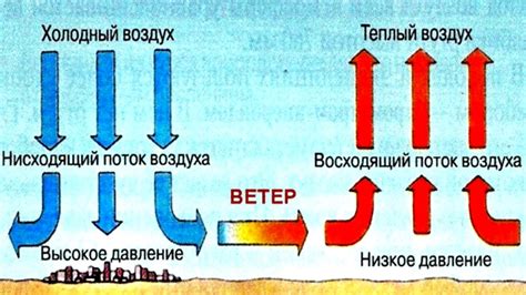 Воздействие ветра на зрительные органы и его причина