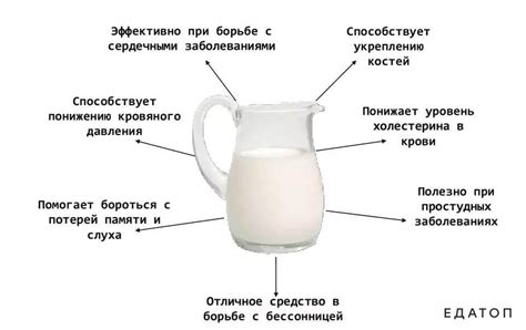 Воздействие молока на организм: благотворные эффекты и его роль в поддержании здоровья