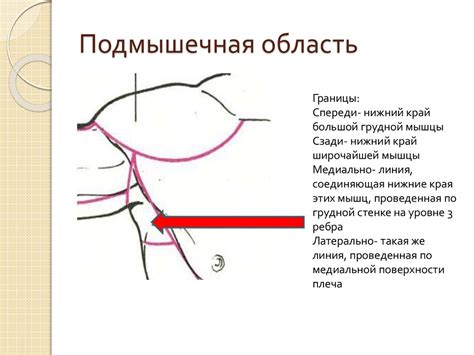 Воздействие психологических факторов на состояние кожи в области подмышечной впадины