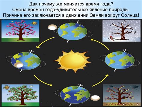 Воздействие смены времен года на сохранение характерного оттенка листьев эвкалипта