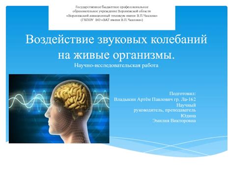 Воздействие эмоциональных колебаний на наше физическое благополучие