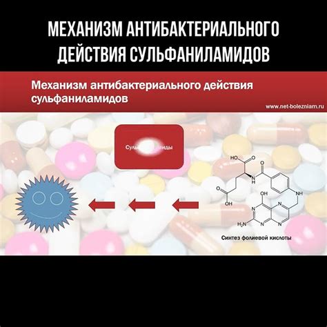 Возможность антибактериального эффекта от действия дрожжей