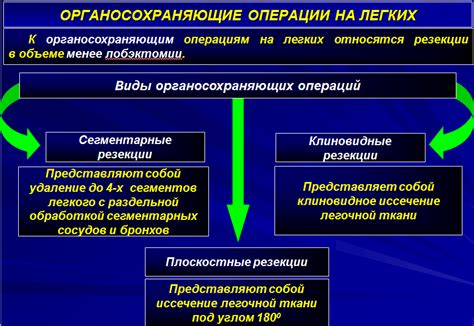 Возможные осложнения, связанные с образованием наружных выпуклостей на брюшной области питомцев