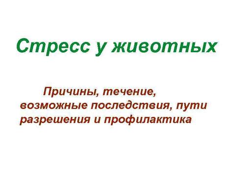 Возможные последствия и альтернативные пути разрешения ситуации